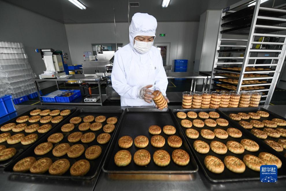 诚信客户端下载